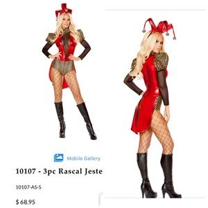 Jester Halloween costume small